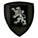 Patch Ricamata Brigata Aosta (Bassa Visibilità)